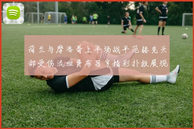 荷兰与摩洛哥上半场战平范赫克头部受伤流血费布吕亨精彩扑救展现实力