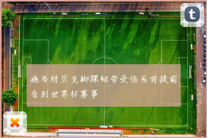 施洛特贝克脚踝韧带受伤或将提前告别世界杯赛事