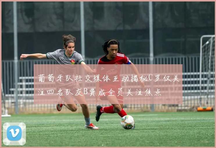 葡萄牙队社交媒体互动揭秘C罗仅关注四名队友B费成全员关注焦点